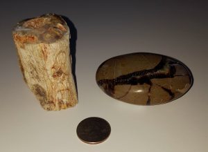 Petrified Wood & Septarian Nodule-DS44