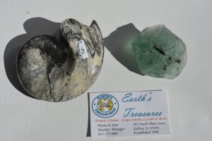 Ammonite Black and Gray Morocco A-77-1; Green Calcite Mexico A-77-2  Set of 2