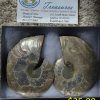 Ammonite Fossil Sliced Pair  Madagascar   A-14 - Image 2