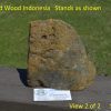 Petrified Wood Indonesia - Item Stands as Shown A-56 - Image 2