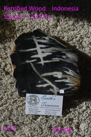 Petrified Wood -  Item Stands - Indonesia  A-51