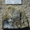 Petrified Wood Indonesia  A-2 - Image 2