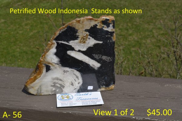 Petrified Wood Indonesia - Item Stands as Shown A-56