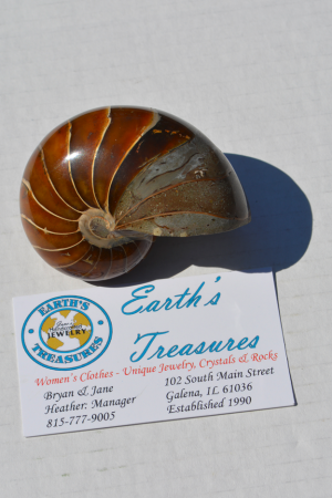 Nautilus-DS-6