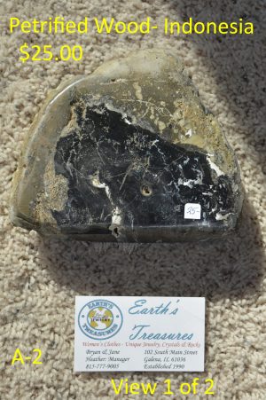 Petrified Wood Indonesia  A-2